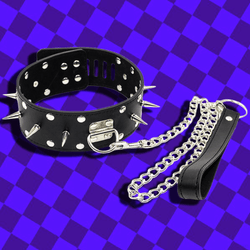 Payne Collar and Leash Set